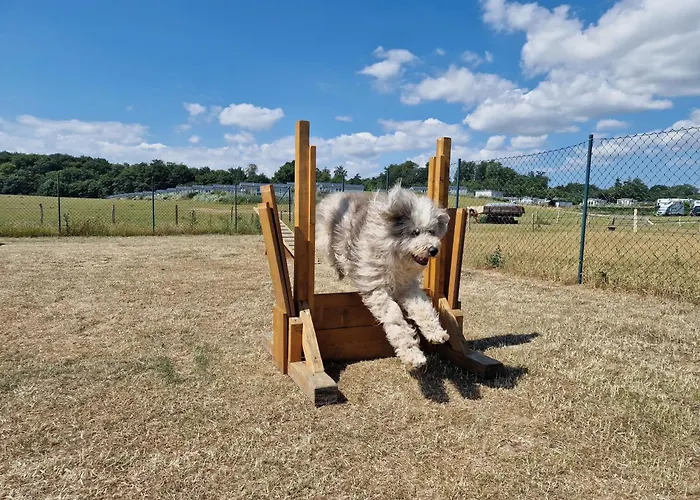 Ostseeferienpark Walkyrien - Bootsmann 02 Vakantiehuis *